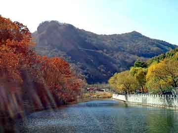 澳门二四六天天彩图库，教师论坛